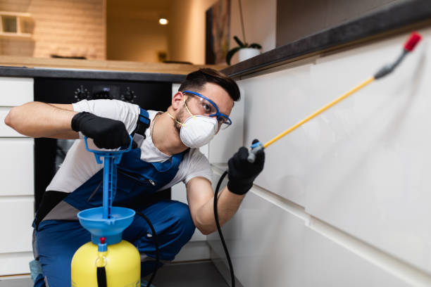 Best Wildlife Control Services  in Lone Oak, TN