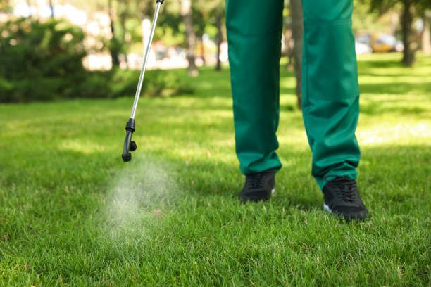 Flea Control Services in Lone Oak, TN
