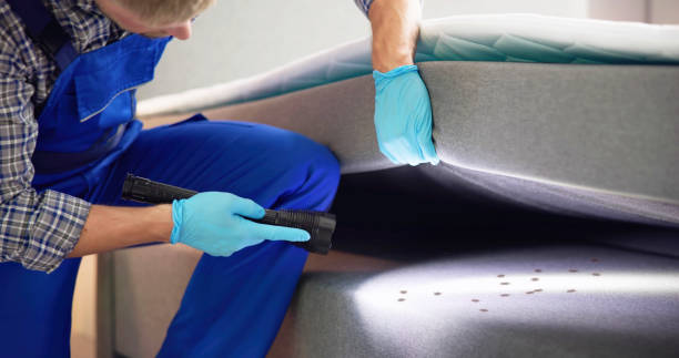 Best Bed Bug Extermination  in Lone Oak, TN
