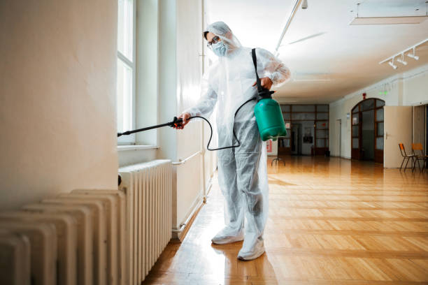Best Local Pest Control Services  in Lone Oak, TN